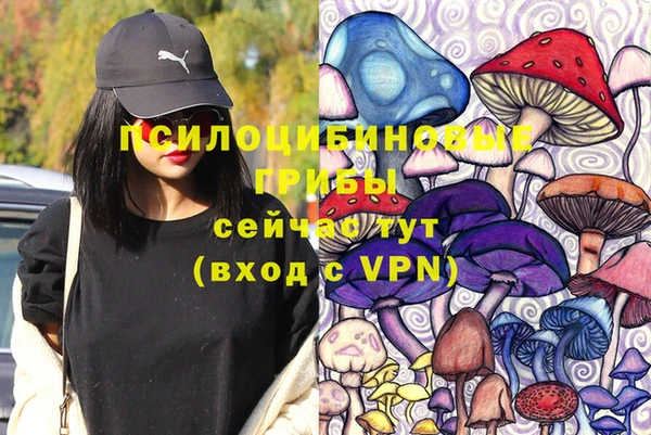 бошки Абаза