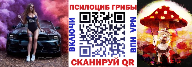 кракен зеркало  Курск  Галлюциногенные грибы Magic Shrooms 