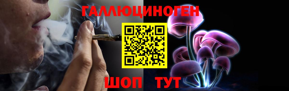 Псилоцибиновые грибы Cubensis Курск